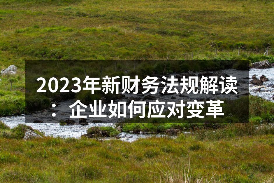 2023年新财务法规解读：企业如何应对变革