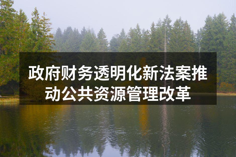 政府财务透明化新法案推动公共资源管理改革