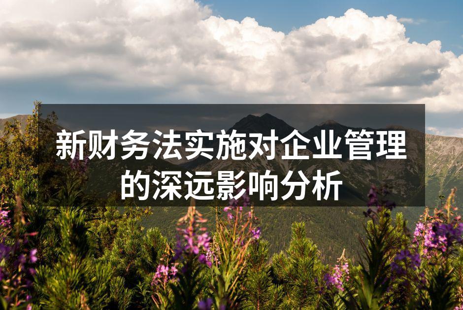 新财务法实施对企业管理的深远影响分析